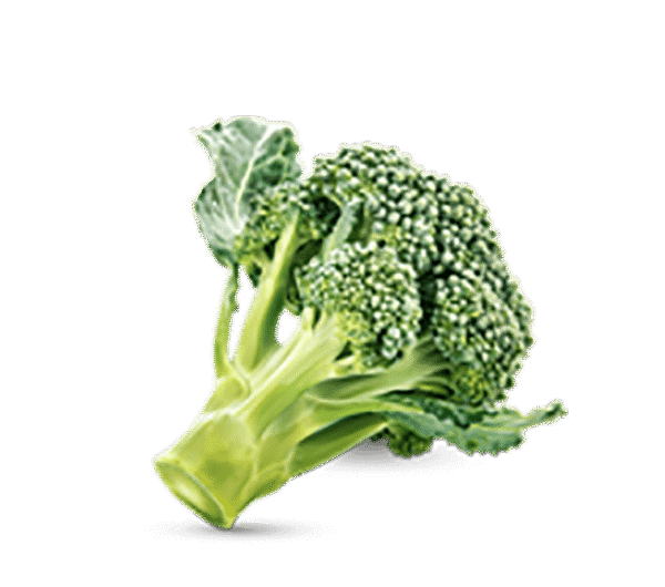 h3-product11 h3-product11