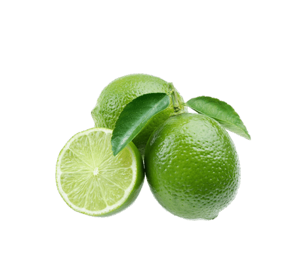 h3-product12 h3-product12